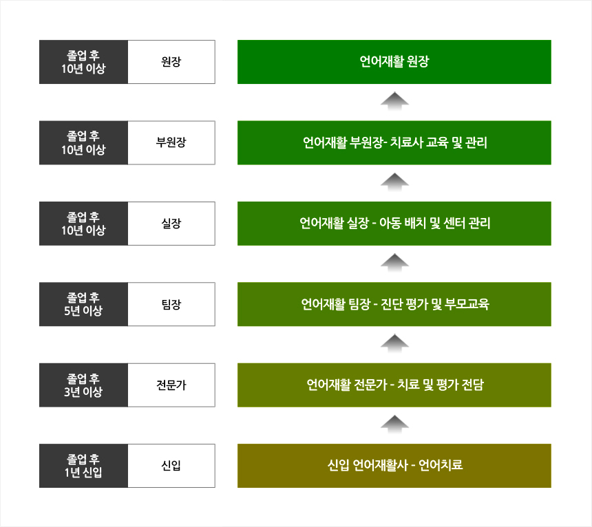 언어치료·청각재활학과를 졸업하고 졸업 후 1년은 신입(신입 언어재활사-언어치료), 졸업 후 3년 이상은 전문가(언어재활 전문가-치료 및 평가 전담), 졸업 후 5년 이상은 팀장(언어재활 팀장-진단 평가 및 부모교육), 졸업 후 10년 이상은 실장, 부원장, 원장 3가지로 나눠지며 실장은 언어재활 실장-아동 배치 및 센터 관리, 부원장은 언어재활 부원장-치료사 교육 및 관리, 원장은 언어재활 원장이 될 수 있습니다.